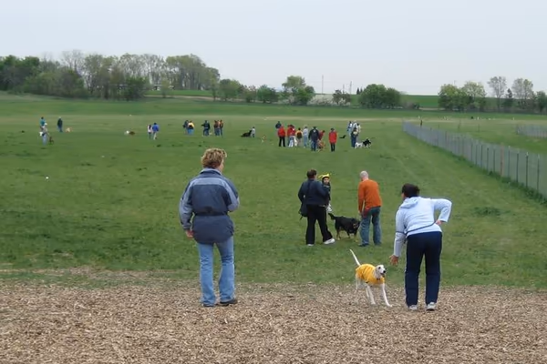 Palmer Park Off-Leash Dog Area photo 2